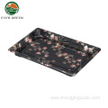 Disposable Reusable Container Sushi Tray Plastic Sushi Plate